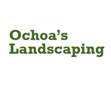 Ochoa's Landscaping 55