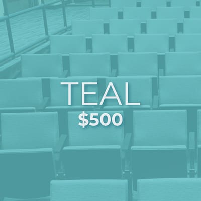 Teal Level Seat 1