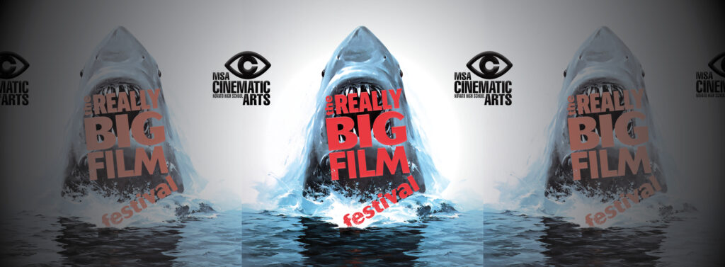 The Really Big Film Festival 3